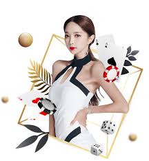 ayx下载手机版